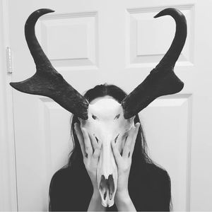 Meet your Posher, Shaina